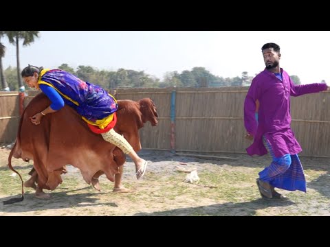 Must Watch New Special Comedy Video 2024 😎Totally Amazing Comedy Episode 259 by Busy fun ltd