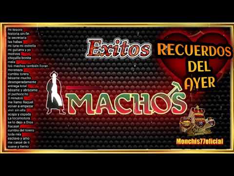 éxitos 🤠 banda machos