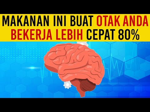 MAKANAN TERBAIK YANG MEMBUAT OTAK 80 KALI LEBIH CERDAS! Konsumsi Setiap Hari Makanan Sehat