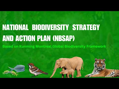 National Biodiversity strategy and action plan - COP 16