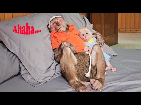 How Did Two Monkeys Troll Mom Without Getting CaughtLaughing Non Stop 😆🙈