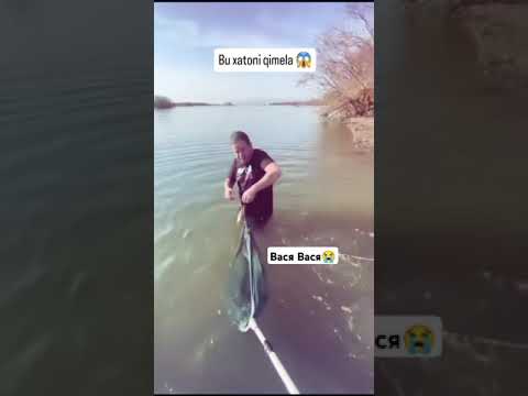 Васяда айб йук у шунчаки багрига босмокчи булди😂