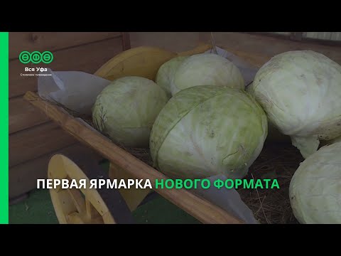 Первая ярмарка нового формата