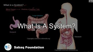 What Is A System?