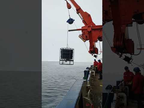 Mercury analysis sampling on the PolarStern in the Arctic ocean. #shorts #nature #science