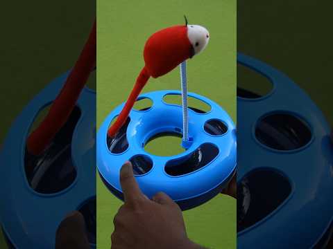 Cat Playing Gadget