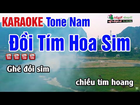 Đồi Tím Hoa Sim Karaoke Tone Nam – Nhạc Sống Thanh Ngân