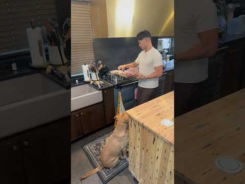 Making dog treats from the scraps of your two-chicken meal prep