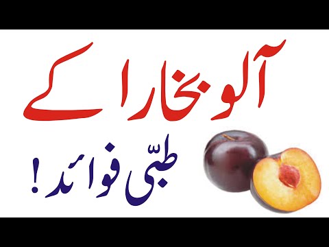 Aloo Bukhara Ke Fayde / Plum Health Benefits in Urdu Hindi / Aloo Bukhara K Tibbi Fawaid