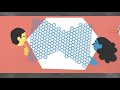 Quantum Interference and Nano Electronics