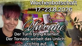 Wochenbotschaft 17.- 23.8.2026 | Es erwartet Dich ein neuer, stabiler Zyklus.Harmonie und Stabilität