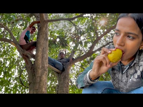 ताजा आम और जामुन भरपूर मात्रा में बड़े आनंद से खाया @poojapriyankaofficial786
