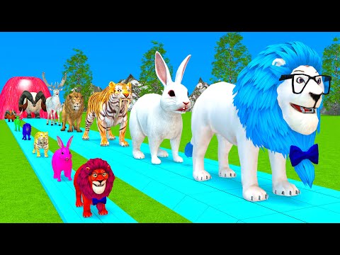 Paint Animals Duck,Tiger,Cow,Lion,Pig,Gorilla,Elephant,Dinosaur Fountain Crossing Animal Game Pi