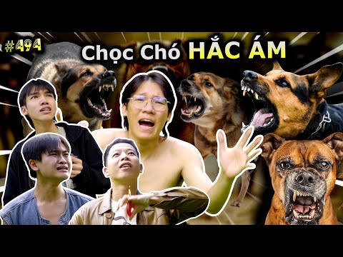 [VIDEO # 494] Trò Chơi Chọc Chó "HẮC ÁM" | Vua Trò Chơi | Ping Lê