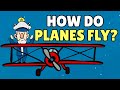 Understanding How Planes Fly