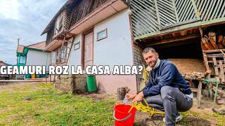 Sa ne APUCAM de CEALALTA CASA din CURTE? Cum arata acum...