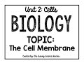 Exploring the Cell Membrane