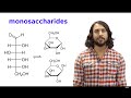 Understanding Carbohydrates