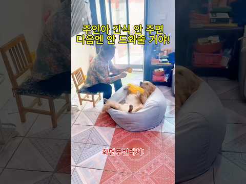 주인아 간식 안 주면 다음엔 안 도와줄 거야!