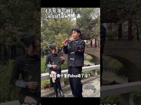 《千里等一回》#中国音乐 #国乐 #传统民间音乐 #chinesemusic #中国传统乐器 #电琵琶 #琵琶 #唢呐