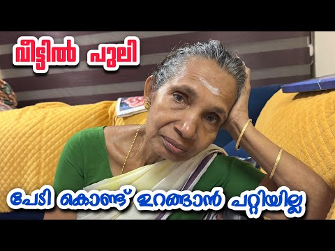 വീട്ടിൽ പുലി 😳പേടി കൊണ്ട് ഉറങ്ങാൻ പറ്റിയില്ല | Kidilam Muthassi |