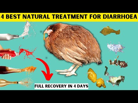 4 NATURAL TREATMENTS FOR COMMON TYPES OF KILLER DIARRHOEA DISEASE