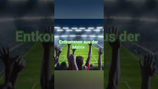 Entkommen aus der Matrix #liebe #viral #bewusstseinsweg #spiritualität