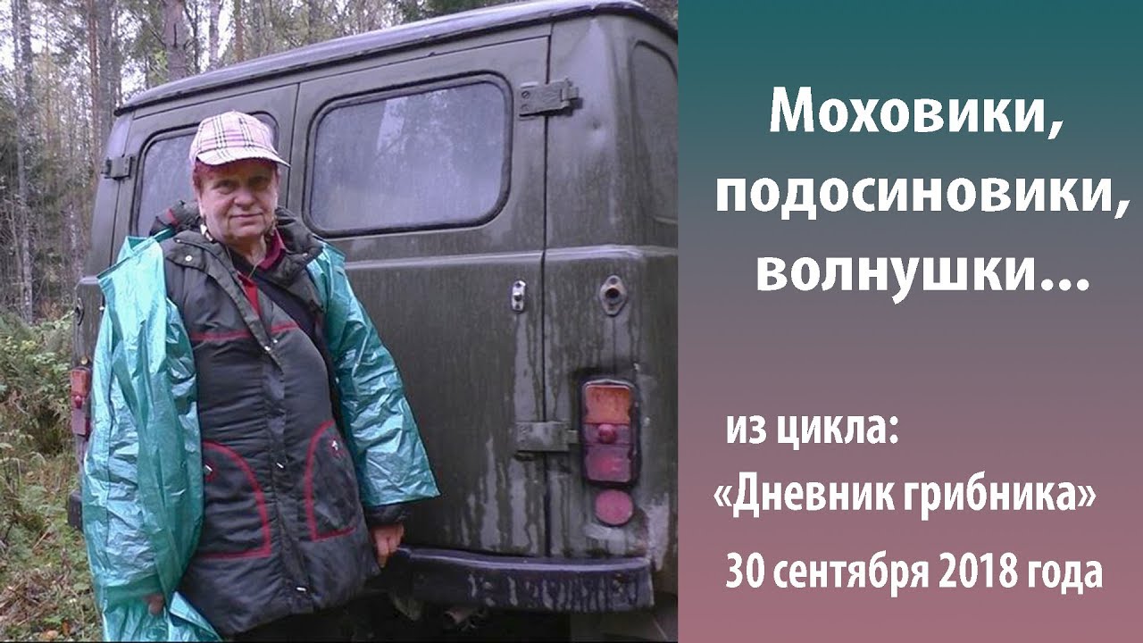 Моховики, подосиновики, волнушки. 30 сентября 2018 года