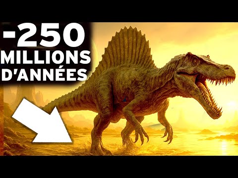 À quoi ressemblait la Terre il y a 250 millions d'années ? Documentaire Histoire de la Terre