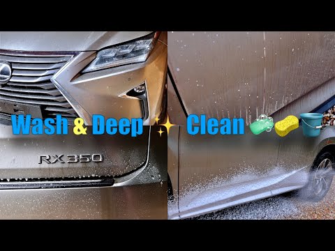 10yr Old Lexus Rx | Deep Decontamination Wash & Clean (vlog 62)