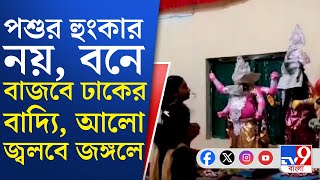 Dhupguri Durga Puja 2025: চিতা-হাতির আতঙ্ক ভুলে বনবস্তির পুজো