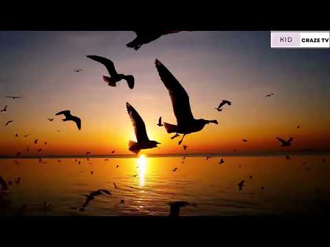 Calm Mind & Stress Relief - Deep Sleep Music for Relaxation, 1 Hour of Soothing Melodies