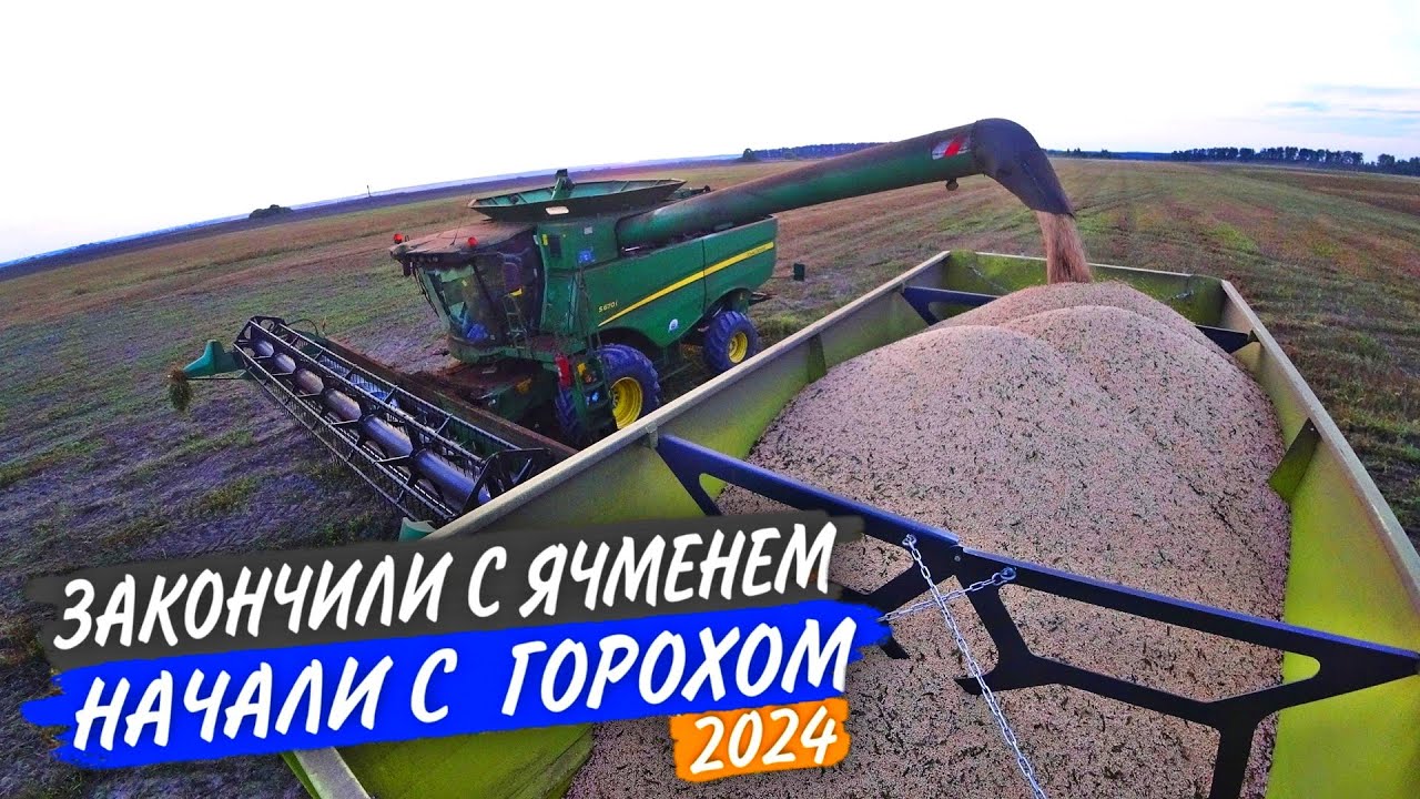 На ГОРОХЕ пыли много, а УРОЖАЯ мало. Забили молотилку на РСМ-161 и John Deere S660.