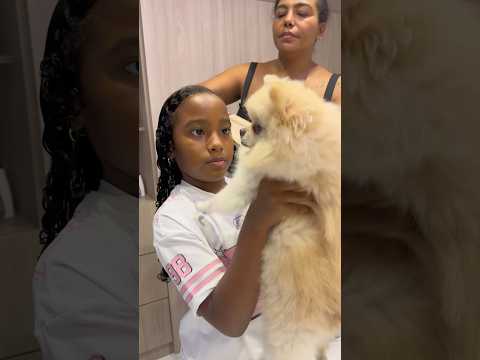 Cuando fastidias a tu perrito 🐶 🤣 #viralshorts #comedy #shorts