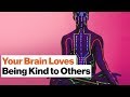 Meditation and Empathy Insights