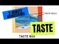 Understanding Taste in Neuroscience