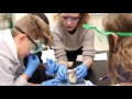 Scientific Thinking and Research Skills