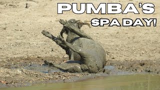 MUD BATH BLISS| Pumba's Spa Day
