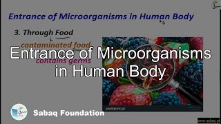 Entrance of Microorganisms in Human Body