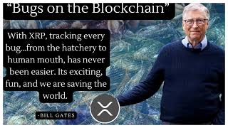XRP: THE RESET BUTTON HAS JUST BEEN FLIPPED! 🚨