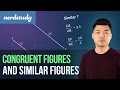 Congruent and Similar Figures Concepts