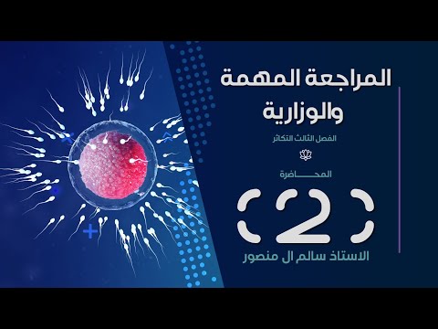 المراجعة ( الفصل الثالث ) | المحاضرة الـ2.