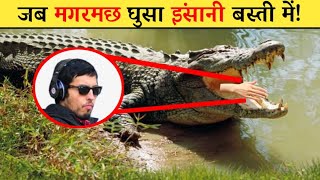 जब मग़रमछ आया इंसानी बस्ती में! | When crocodile entered human habitation