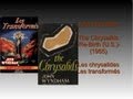 Understanding 'The Chrysalids' Themes and Characters