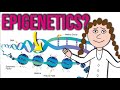 Epigenetics and Gene Regulation Concepts