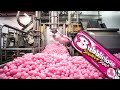 Bubble Gum Production and Components
