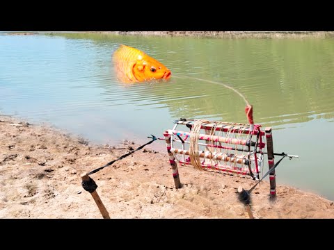 Best Fishing Video ~ Village Smart Boy Fishing With Hook ~ Traditional Hook Fishing