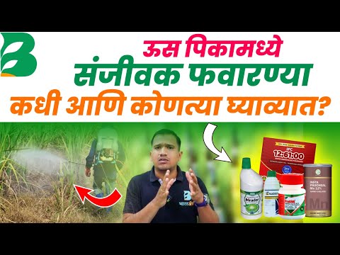 ऊस पिकातील संजीवक फवारण्या 2025 | ऊस फवारणी नियोजन | us favarni #bharatagri #us #sugarcane #ऊस 😍✅