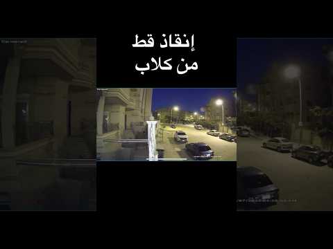 حكاية بيومي ❤️