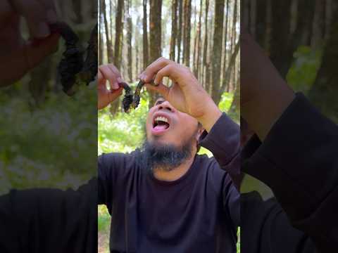 Hunt worms in extreme conditions 🪱 #camping #survival #bushcraft #outdoors